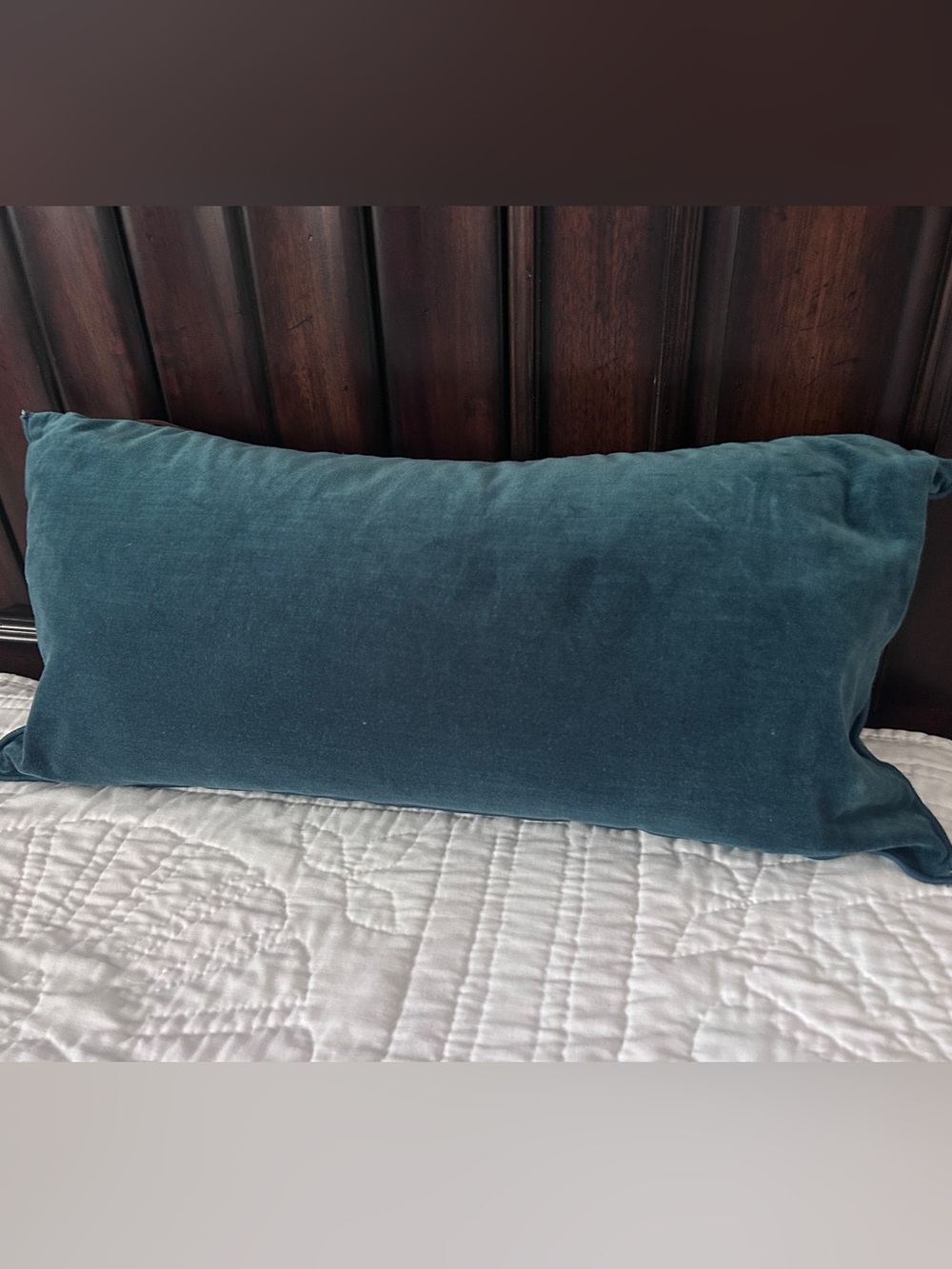 Pottery Barn pillow cover